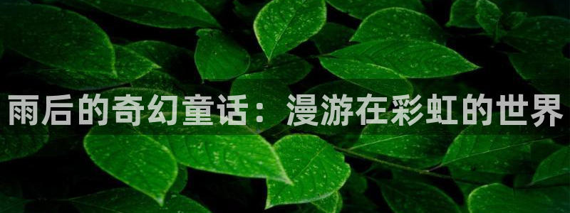 无删减51漫画在线看：雨后的奇幻童话：漫游在彩虹的世界