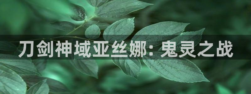 tl51漫画画：刀剑神域亚丝娜: 鬼灵之战
