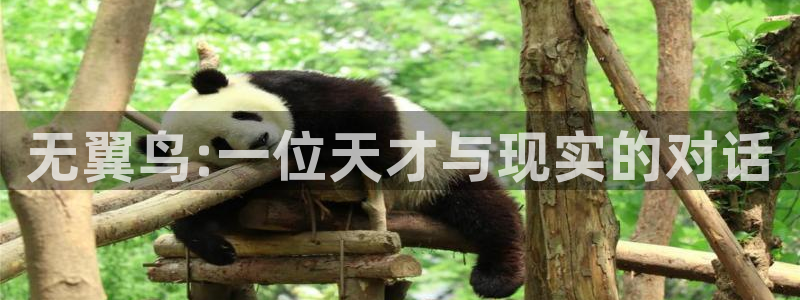 看免费51漫画漫画的app：无翼鸟:一位天才与现实的对话
