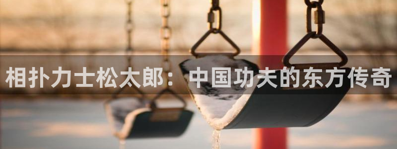 免费看的51漫画网站：相扑力士松太郎：中国功夫的东方传奇