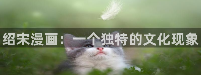 成人免费51漫画网站app：绍宋漫画：一个独特的文化现象