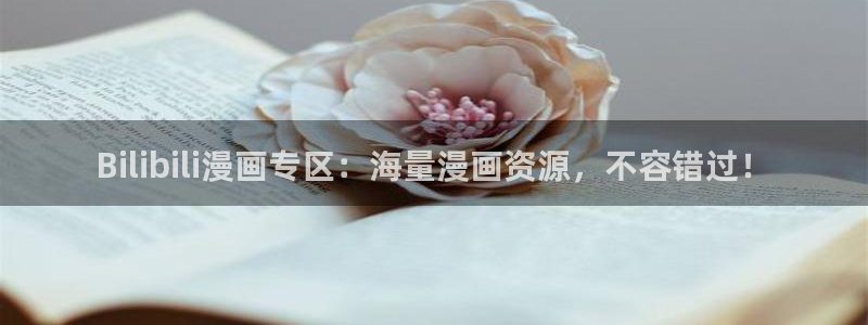 污51漫画网站免费：Bilibili漫画专区：海量漫画资源，不容错过！