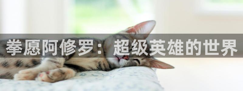 日51漫画画特点