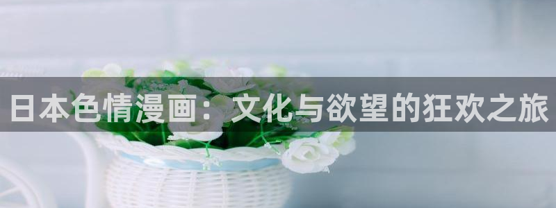 51漫画100官网
