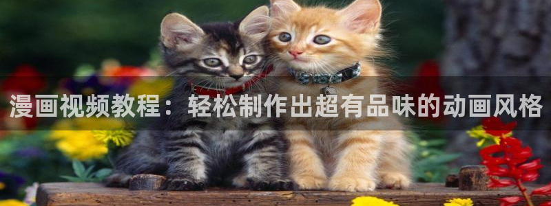 大菠萝漫画51漫画全集免费